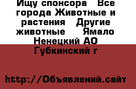 Ищу спонсора - Все города Животные и растения » Другие животные   . Ямало-Ненецкий АО,Губкинский г.